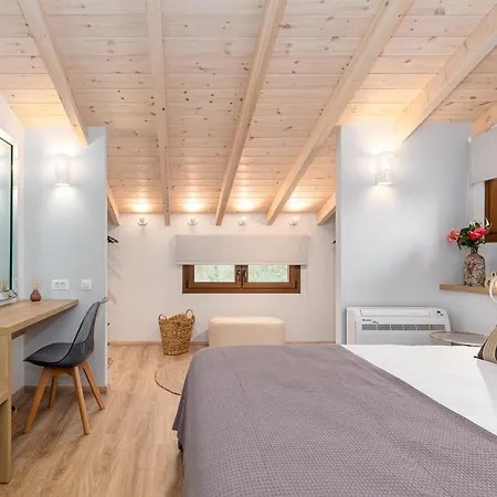 Lola's Luxury 라이아페이즈